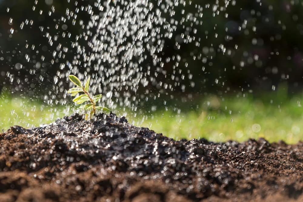 Cómo instalar un sistema de riego casero: guía paso a paso para tener un jardín siempre verde