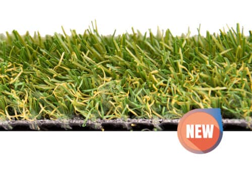 CANCUN-35-mm faura grupo dcc 3000